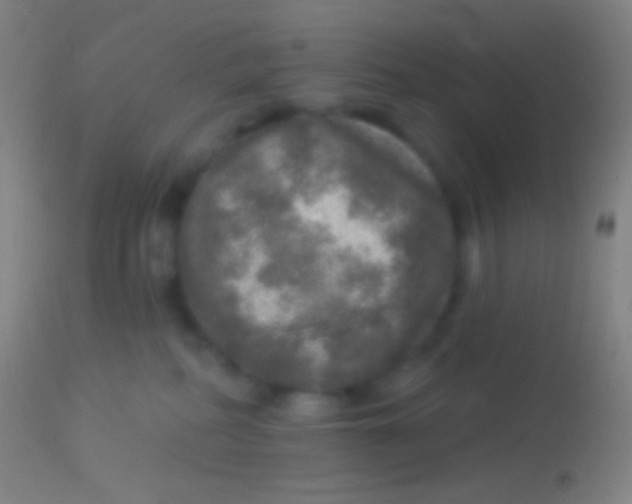 X0000113960234200910162011