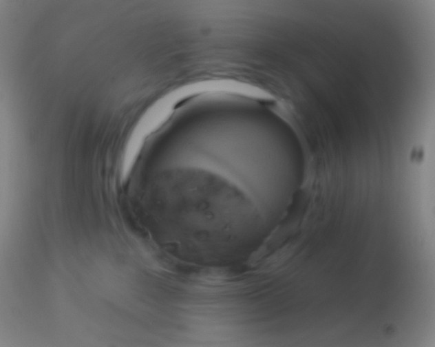 X0000113960235200910162011