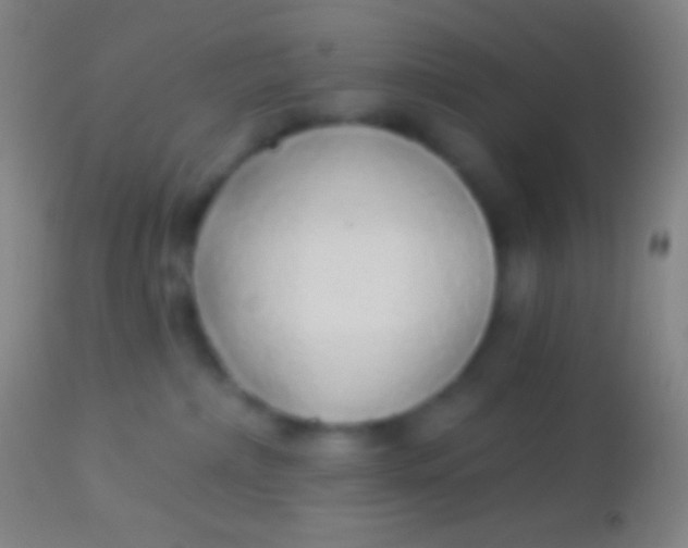 X0000113960236200910162011