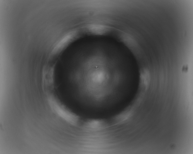 X0000113960237200910162011