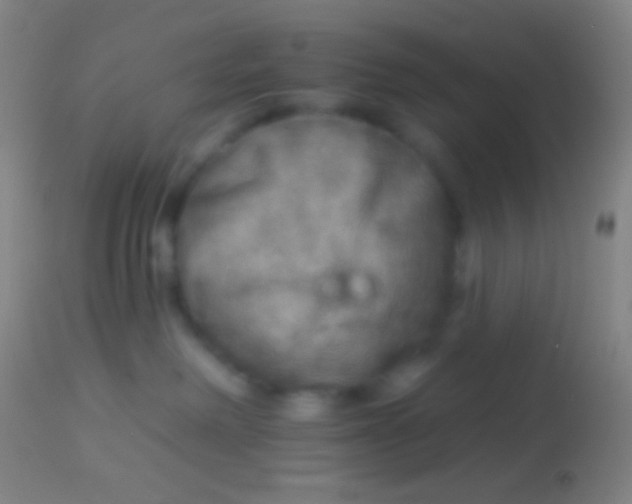 X0000113960238200910162011