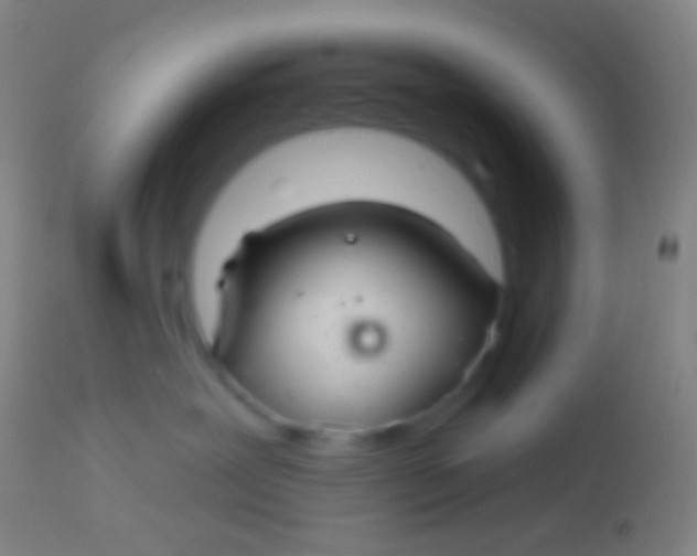 X0000113960239200910162011