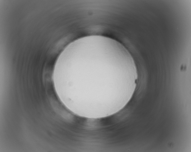 X0000113960240200910162011