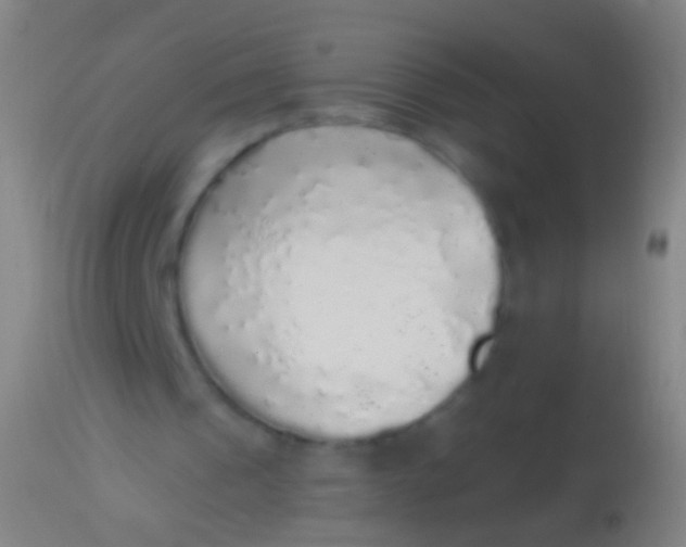 X0000113960241200910162010