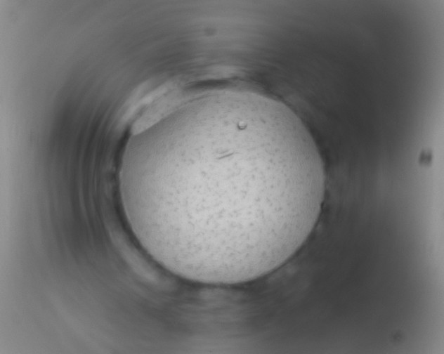 X0000113960242200910162010