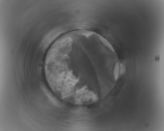 X0000113960243200910162010