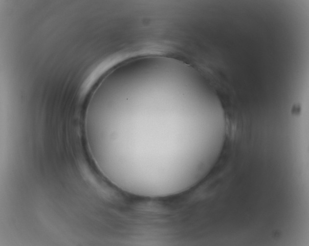 X0000113960244200910162010