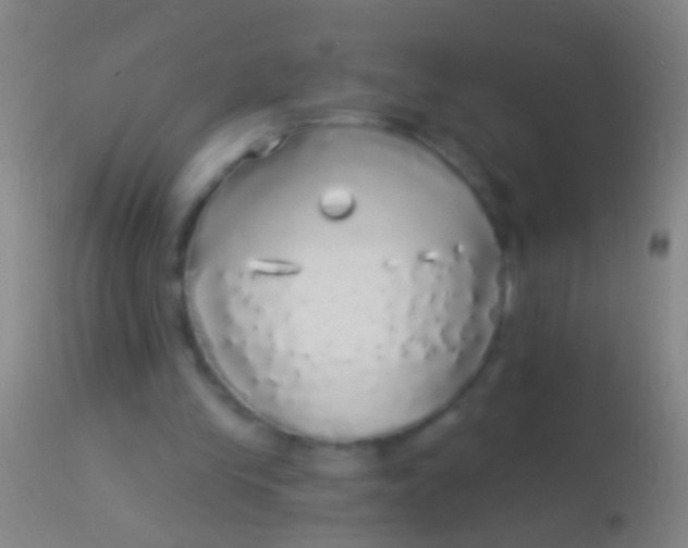 X0000113960245200910162010