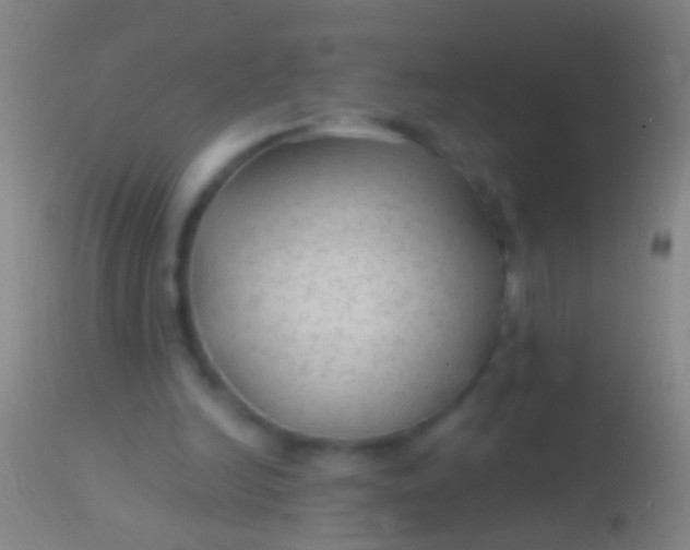 X0000113960246200910162010