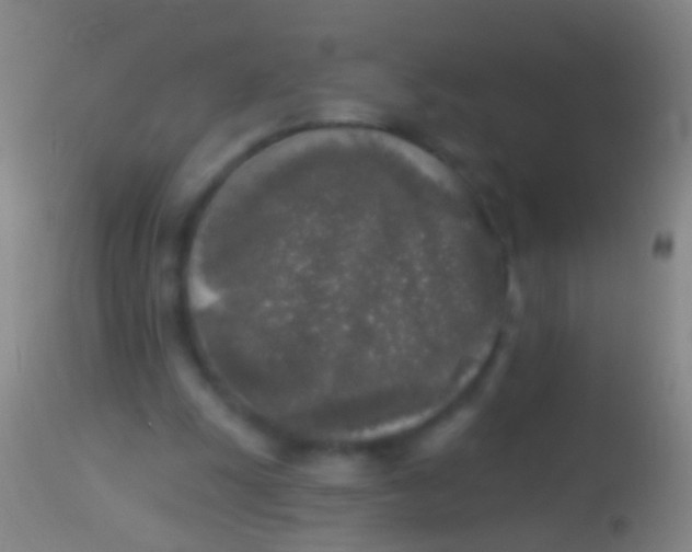 X0000113960247200910162010