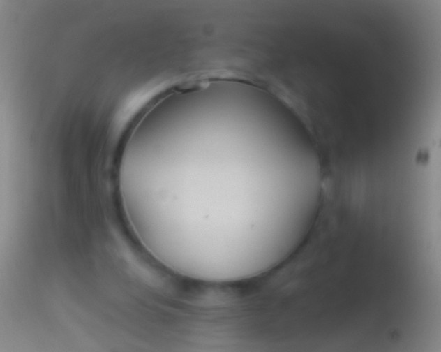 X0000113960248200910162010