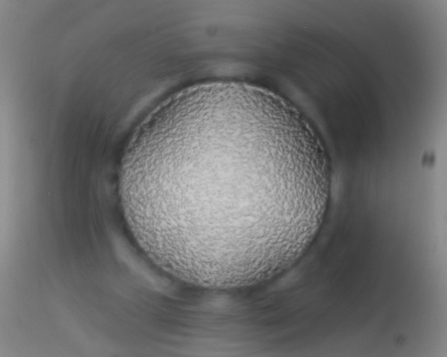 X0000113960249200910162010