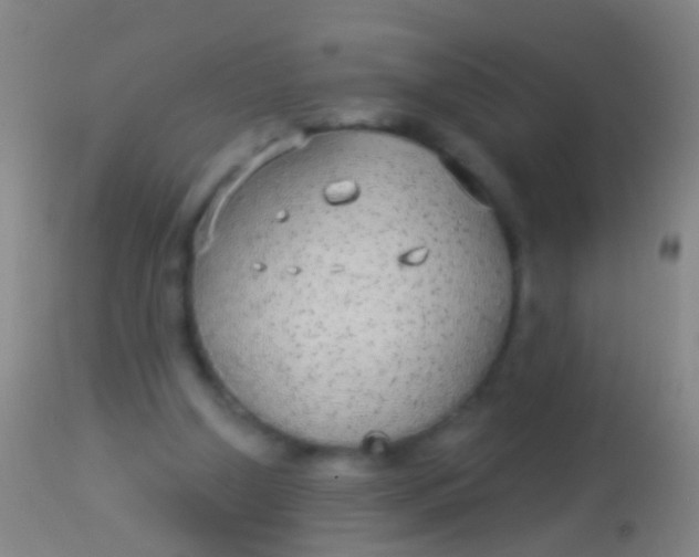 X0000113960250200910162010