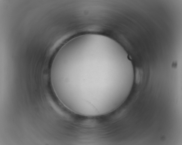 X0000113960252200910162010