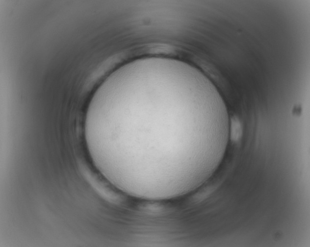 X0000113960253200910162010