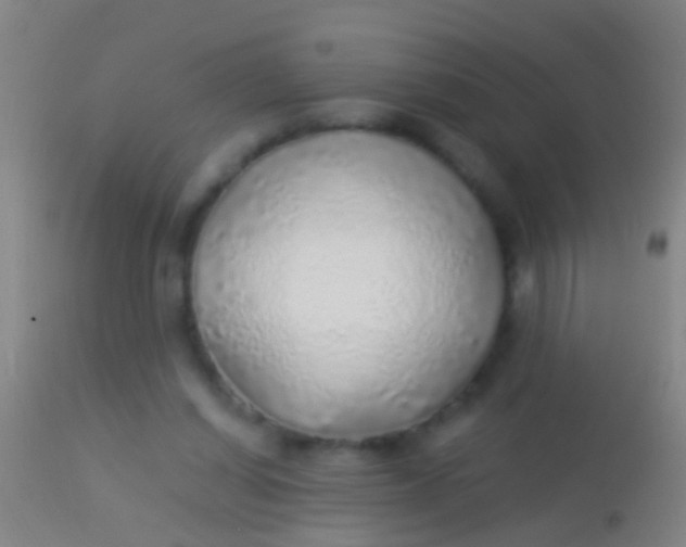 X0000113960254200910162010