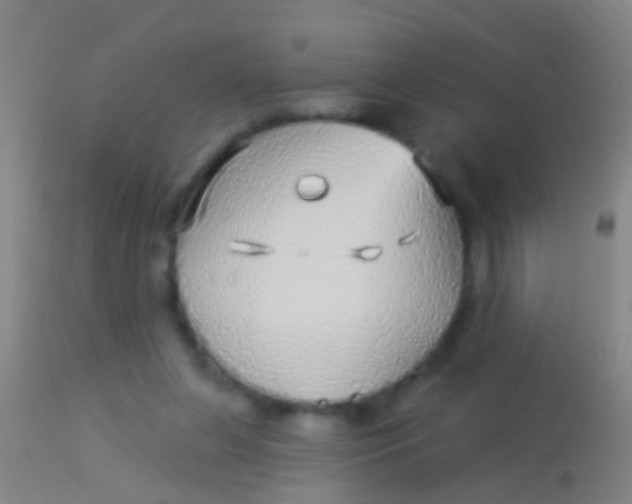 X0000113960255200910162010