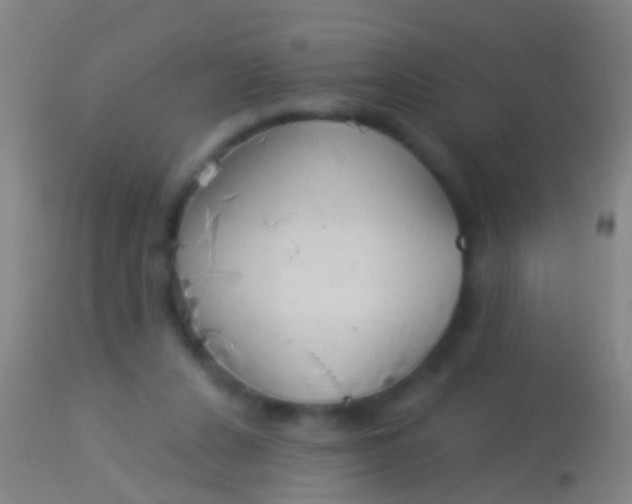 X0000113960256200910162010