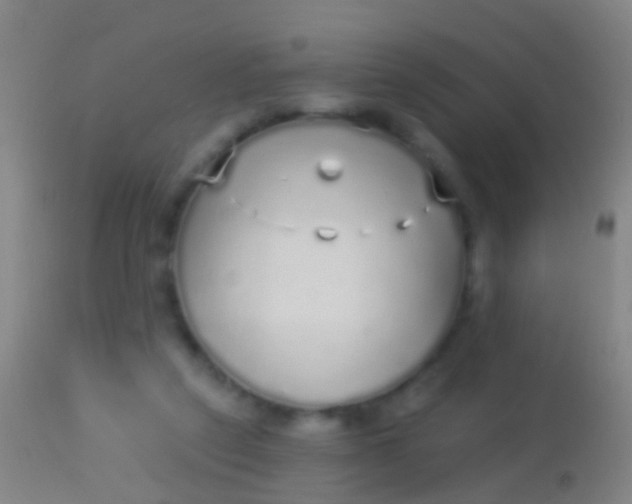 X0000113960257200910162010