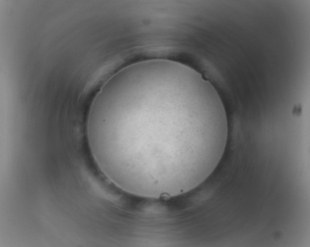 X0000113960258200910162010