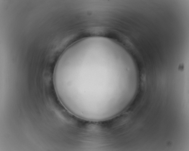 X0000113960259200910162010