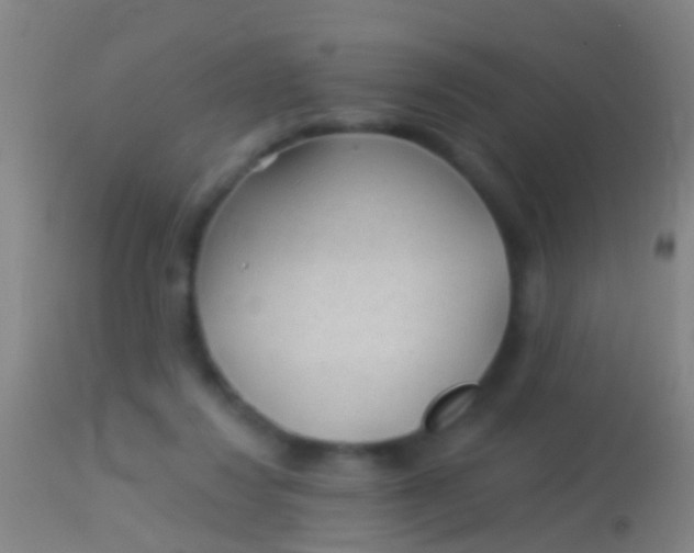 X0000113960260200910162010