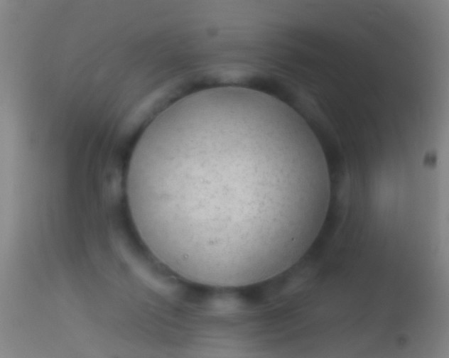 X0000113960262200910162010