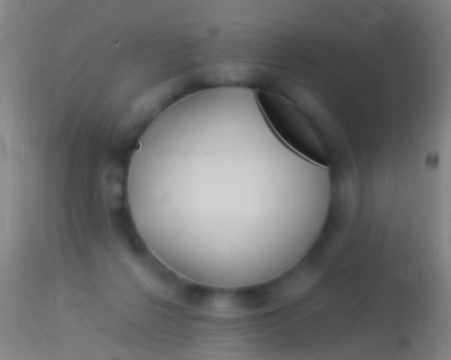 X0000113960264200910162010