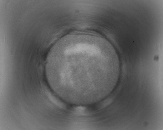 X0000113960265200910162010