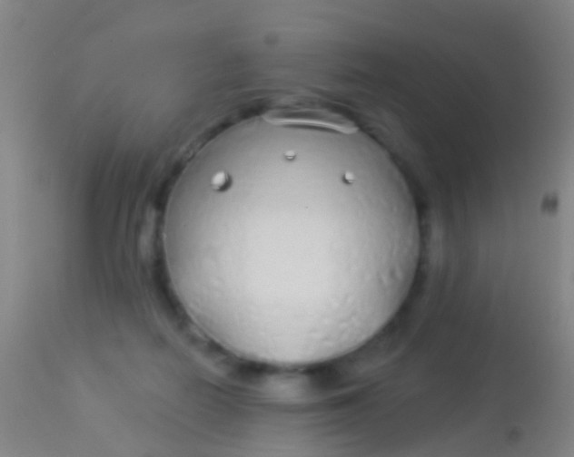 X0000113960266200910162010