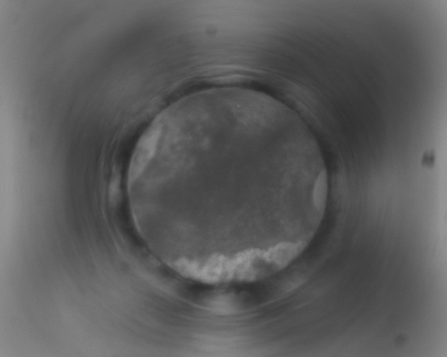 X0000113960267200910162011