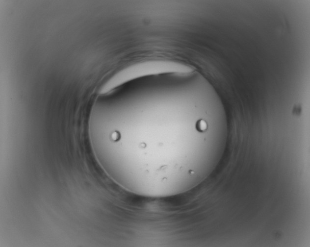 X0000113960268200910162011