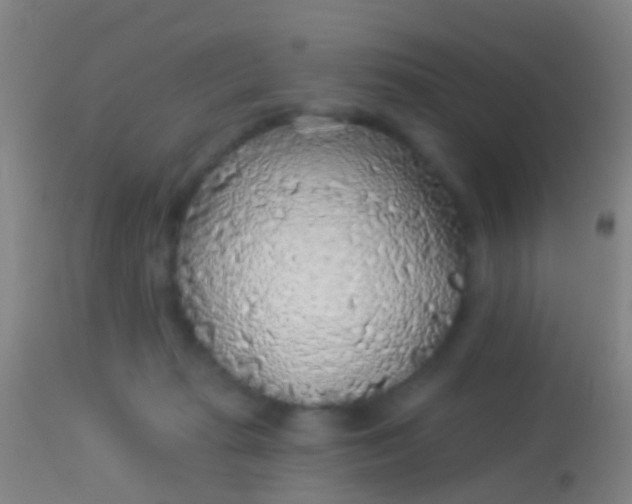 X0000113960269200910162011