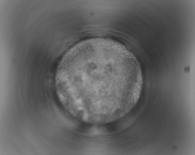 X0000113960270200910162011