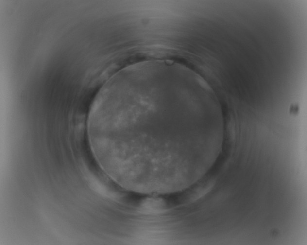 X0000113960271200910162011