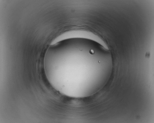 X0000113960272200910162011