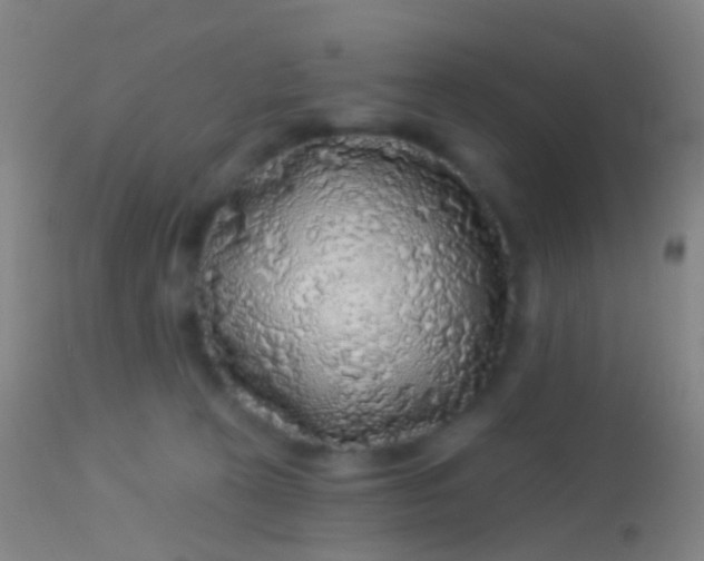 X0000113960273200910162011