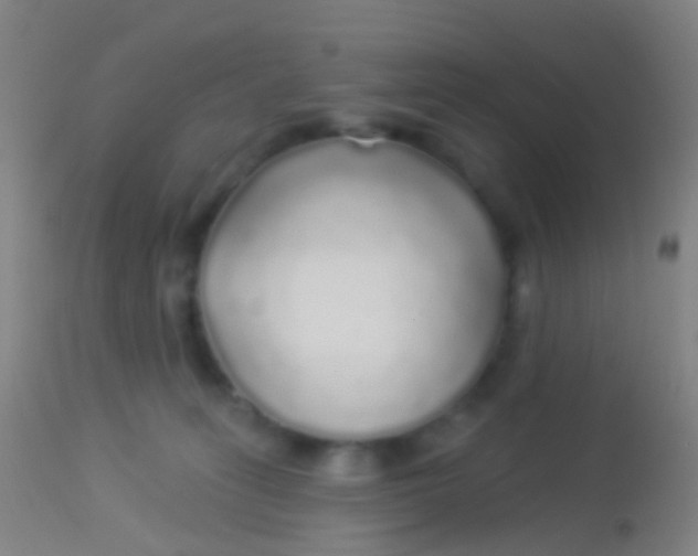 X0000113960275200910162011