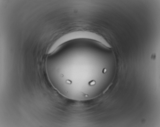 X0000113960276200910162011