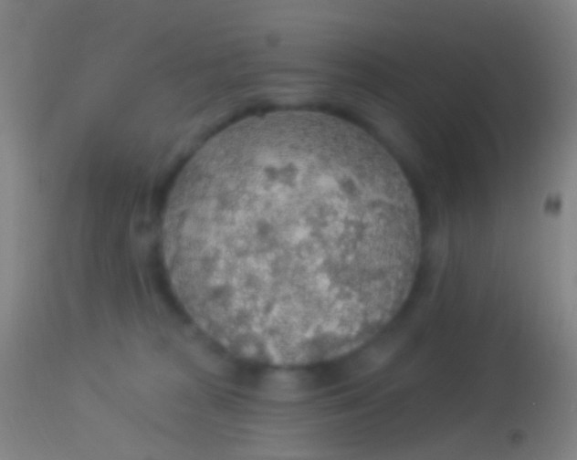 X0000113960277200910162011