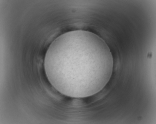 X0000113960279200910162011