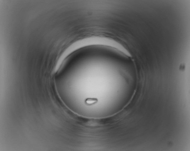 X0000113960280200910162011