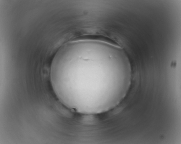 X0000113960281200910162011