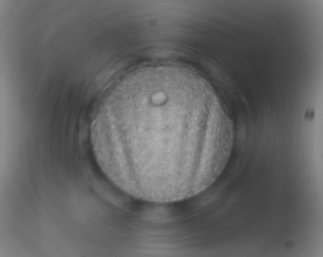 X0000113960282200910162011