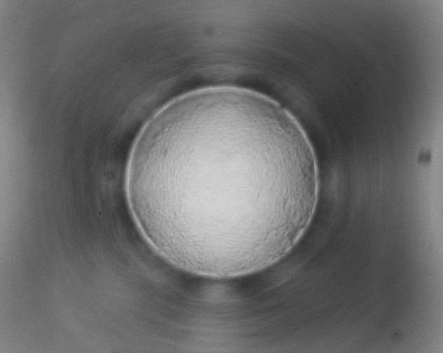 X0000113960283200910162011