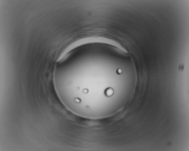 X0000113960284200910162011