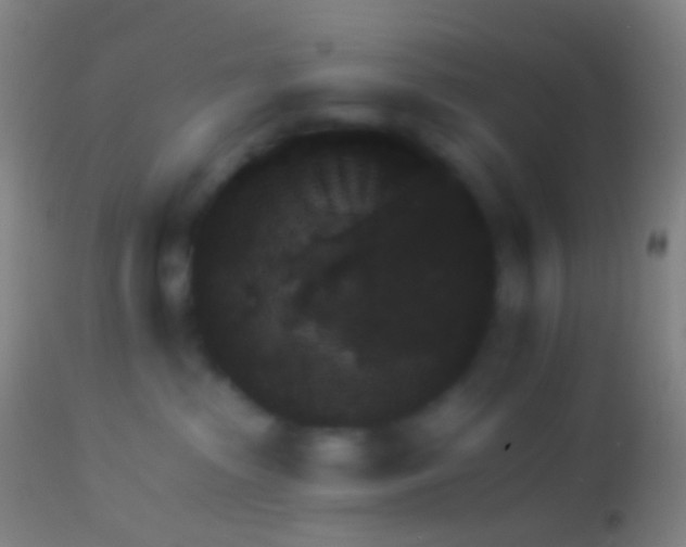 X0000113960285200910162011