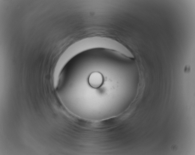 X0000113960288200910162011