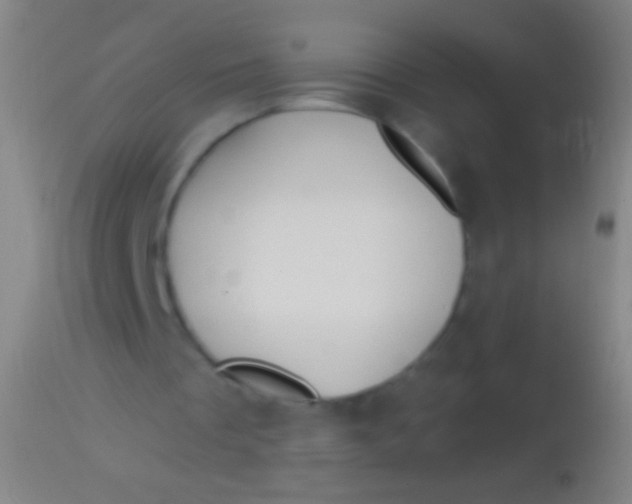 X0000113960289200910162010