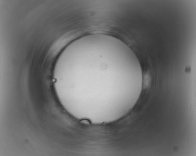 X0000113960291200910162010